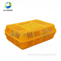 Plastic folding crate for live poultry